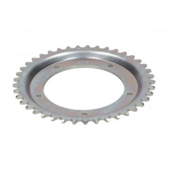 Kettenrad 45 Zähne Esjot 5-Loch für Magnet, Z-One